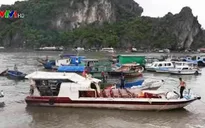 Quảng Ninh: Tàu cá va chạm tàu cao tốc, 2 người bị thương
