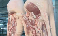 Giá thịt lợn trên thế giới đang tăng, không riêng Việt Nam