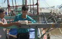 Chủ động ứng phó thiên tai: Hệ thống quan trắc khí hậu, cảnh báo sớm có ý nghĩa quyết định