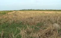 Tập trung ứng phó nắng nóng kéo dài, hạn hán tại Trung Bộ