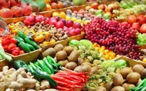 Cơ hội xuất khẩu nông sản Việt ra thị trường nước ngoài