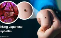 Hàn Quốc cảnh báo viêm não Nhật Bản bùng phát trên toàn quốc