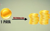 Cảnh báo đầu tư tiền ảo Paya cho thu nhập "khủng"