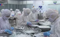 Thiếu nguyên liệu trầm trọng, nhà máy hải sản hoạt động cầm chừng