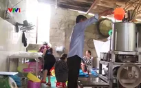 Làng bún Vân Cù ở Thừa Thiên - Huế