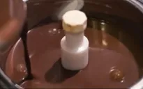 Món kem làm từ sữa côn trùng