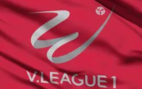Lịch thi đấu và trực tiếp vòng 6 V.League 2021 hôm nay: Hoàng Anh Gia Lai - CLB TP Hồ Chí Minh, CLB Hải Phòng - Than Quảng Ninh