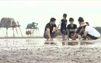 Chuyến đi màu xanh: Cùng diễn viên "Về nhà đi con" bắt ngao bên bờ biển