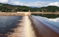 Truy tìm nguyên nhân gây ô nhiễm nguồn nước Ngàn Trươi