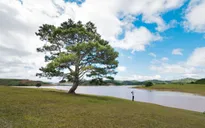 Phượt thủ Hà Nội gây “sốt” bởi bộ ảnh tuyệt đẹp dọc miền đất nước