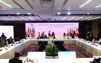 Cuộc họp trù bị của ASEAN cho AMM-52 và các Hội nghị Bộ trưởng liên quan