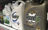 Áo thông qua dự luật cấm thuốc diệt cỏ Glyphosate