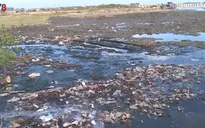 Báo động tình trạng ô nhiễm cảng cá tại Thừa Thiên Huế