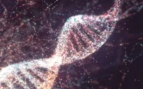 Chỉnh sửa gene sắp được thử nghiệm trên con người lần đầu tiên để điều trị mù lòa