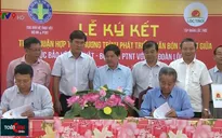 Đẩy mạnh sử dụng phân bón hữu cơ trong nông nghiệp