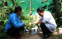 Sốt xuất huyết bùng phát mạnh tại Đắk Lắk