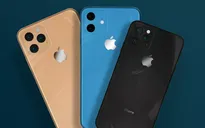 Foxconn hối hả tuyển quân chuẩn bị cho sự ra mắt iPhone 11