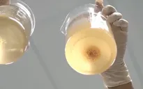 Phân biệt thực phẩm chức năng viên uống nano thật giả