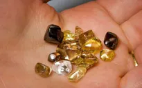 Đi dạo quanh công viên vô tình nhặt được viên kim cương 2,12 carat