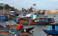 Nghiêm túc thực hiện khắc phục "thẻ vàng" nghề cá