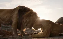 “The Lion King” cán mốc doanh thu 1 tỷ USD chỉ sau 11 ngày công chiếu
