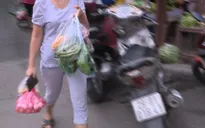 Hà Nội quyết tâm nói không với rác thải nhựa