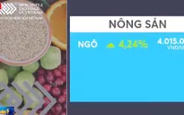 Giá các mặt hàng nông sản trên sàn Chicago hồi phục mạnh mẽ