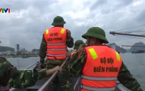 Quảng Ninh dừng cấp phép tàu ra biển do bão số 2
