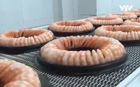 Thông qua đề án “Phòng chống gian lận thương mại trong xuất xứ hàng hóa”