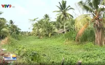 Kênh thủy lợi ở Trà Vinh tắc nghẽn vì 2 hộ dân lấn chiếm