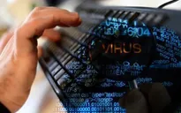 Số lượng các cuộc tấn công mạng vào Việt Nam giảm 50%