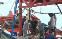 Chưa thể hoàn thành lắp đặt thiết bị giám sát hành trình cho tàu cá