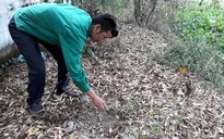 Mẫu vật chôn trong nhà máy rác thải Cà Mau là xương thai nhi