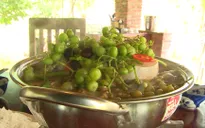 Món ngon từ ao cá quanh nhà
