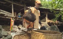 Nhìn ST hứng "cơn mưa phân bò", Bình An cố nhịn cười trong Cuộc đua kỳ thú