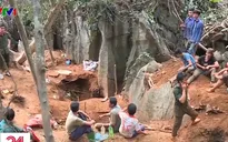 Người dân Yên Bái đổ xô lên rừng đào đá quý