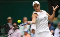Vòng 4 đơn nữ Wimbledon 2019, ngày 8/7: Hạt giống số 1 Barty dừng bước; Serena, Halep thắng nhàn