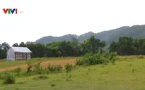 Nở rộ dự án tự phân lô bán nền tại ngoại thành Hà Nội