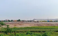 Quảng Ninh yêu cầu dừng đấu giá đất nền vì “sốt ảo”