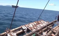 Ngư dân lao đao vì tồn đọng hàng nghìn tấn mực khô
