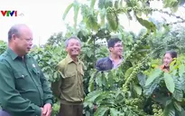 Vươn lên từ nguồn vốn tín dụng chính sách