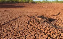 More abandoned land due to droughts