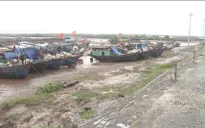 Thái Bình: Hơn 1.000 tàu thuyền đã vào nơi tránh trú bão