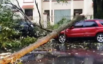 Lốc xoáy và mưa lớn tại Lâm Đồng
