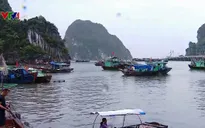 Quảng Ninh chủ động phòng chống bão số 3