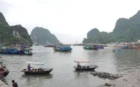 Quảng Ninh kêu gọi tàu thuyền vào tránh trú bão số 3