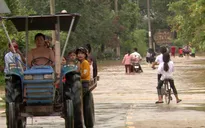 Đồng Nai di dời 1 cù lao do nước dâng cao