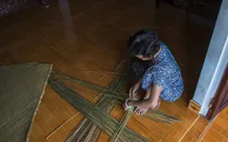 Đến xứ Huế thăm làng nghề đan đệm bàng Phò Trạch