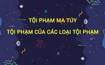 Tội phạm ma túy - Tội phạm của các loại tội phạm