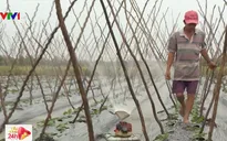 Máy tưới rẫy tự động của nông dân An Giang